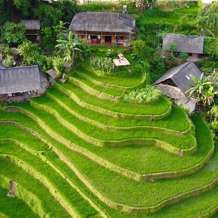 My'S Homestay Sapa Eksteriør billede