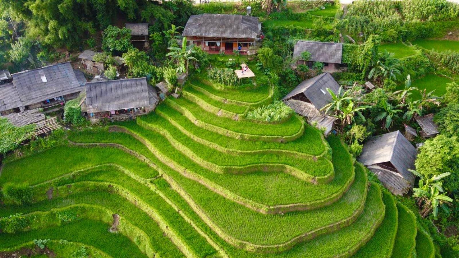 My'S Homestay Sapa Eksteriør billede