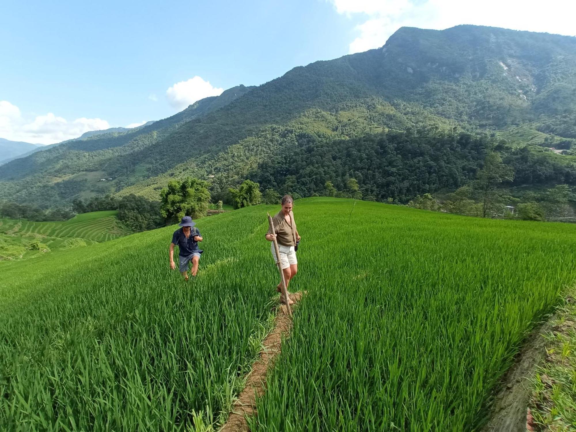 My'S Homestay Sapa Eksteriør billede