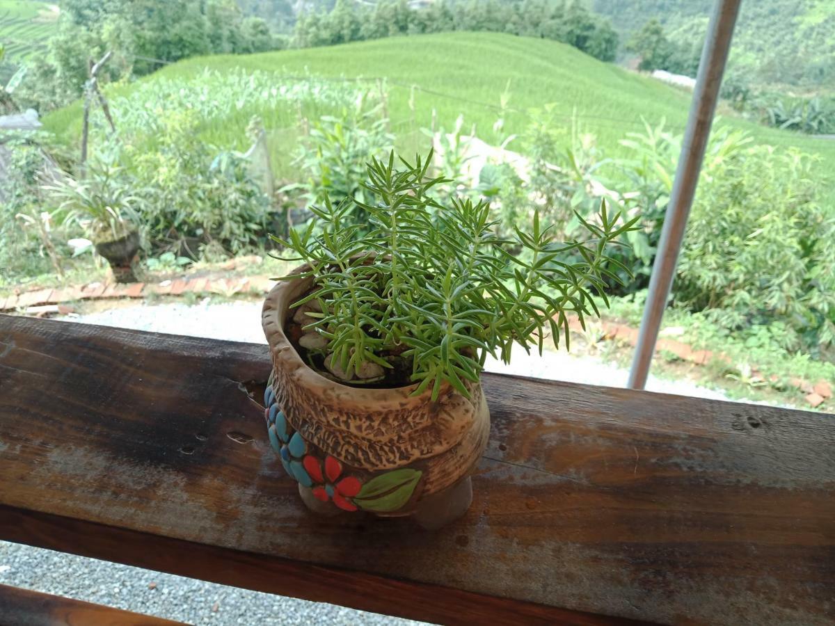 My'S Homestay Sapa Eksteriør billede