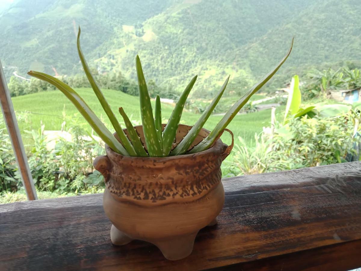 My'S Homestay Sapa Eksteriør billede